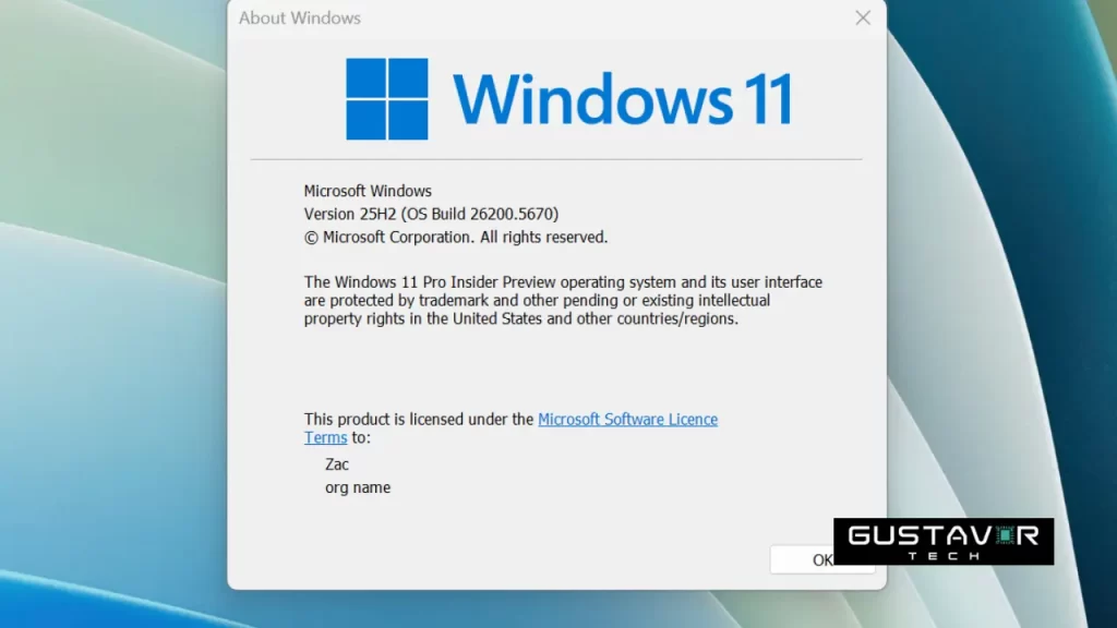 Microsoft Windows 11 Crackeado
